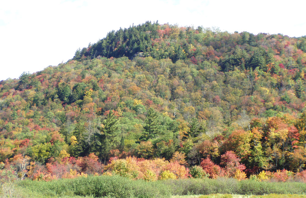 near Canada Creek